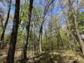 Eau Claire Land Real Estate