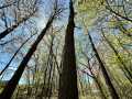 Eau Claire Land Real Estate