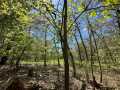 Eau Claire Land Real Estate