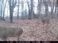 Eau Claire Land Real Estate