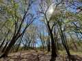 Eau Claire Land Real Estate