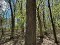 Eau Claire Land Real Estate