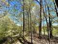Eau Claire Land Real Estate