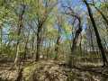 Eau Claire Land Real Estate
