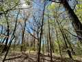 Eau Claire Land Real Estate