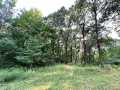 Eau Claire Land Real Estate