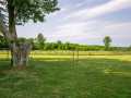 Bloomer Residential Real Estate