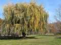 Elk Mound Residential Real Estate
