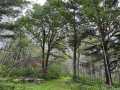 Minong Land Real Estate