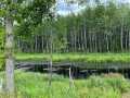 Minong Land Real Estate