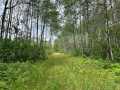 Minong Land Real Estate