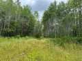 Minong Land Real Estate