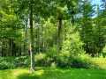Webster Residential Real Estate