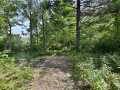 Rice Lake Land Real Estate