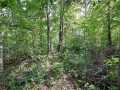 Rice Lake Land Real Estate