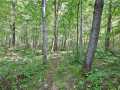 Rice Lake Land Real Estate