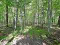 Rice Lake Land Real Estate