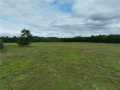 Fall Creek Land Real Estate