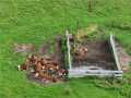 Fall Creek Land Real Estate