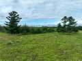 Fall Creek Land Real Estate