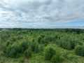 Fall Creek Land Real Estate