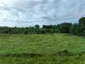 Fall Creek Land Real Estate