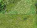 Fall Creek Land Real Estate