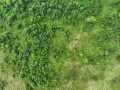 Fall Creek Land Real Estate
