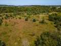 Property Photo 50