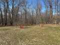 New Auburn Residential Real Estate