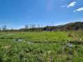 Alma Land Real Estate