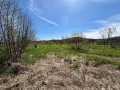 Alma Land Real Estate