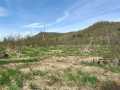 Alma Land Real Estate