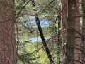 Stone Lake Land Real Estate