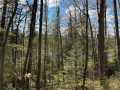 Stone Lake Land Real Estate