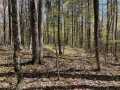 Stone Lake Land Real Estate