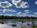 Stone Lake Land Real Estate