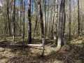 Stone Lake Land Real Estate