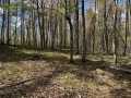 Stone Lake Land Real Estate