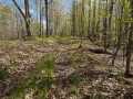Stone Lake Land Real Estate
