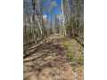 Stone Lake Land Real Estate