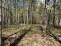 Stone Lake Land Real Estate