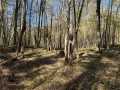 Stone Lake Land Real Estate