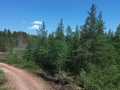 Spooner Land Real Estate