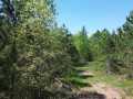 Spooner Land Real Estate