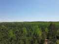 Spooner Land Real Estate
