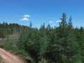 Spooner Land Real Estate