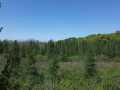 Spooner Land Real Estate