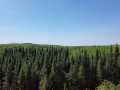 Spooner Land Real Estate