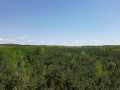 Spooner Land Real Estate